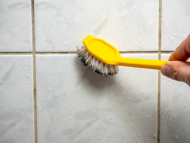 Best Mold Testing  in Noroton, CT