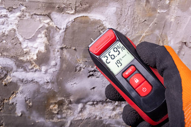 Crawl Space Mold Removal in Noroton, CT