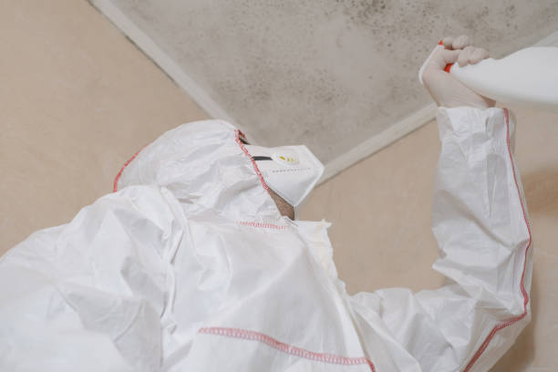 Best Crawl Space Mold Removal  in Noroton, CT