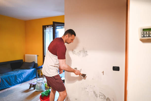 Mold Removal and Inspection in Noroton, CT